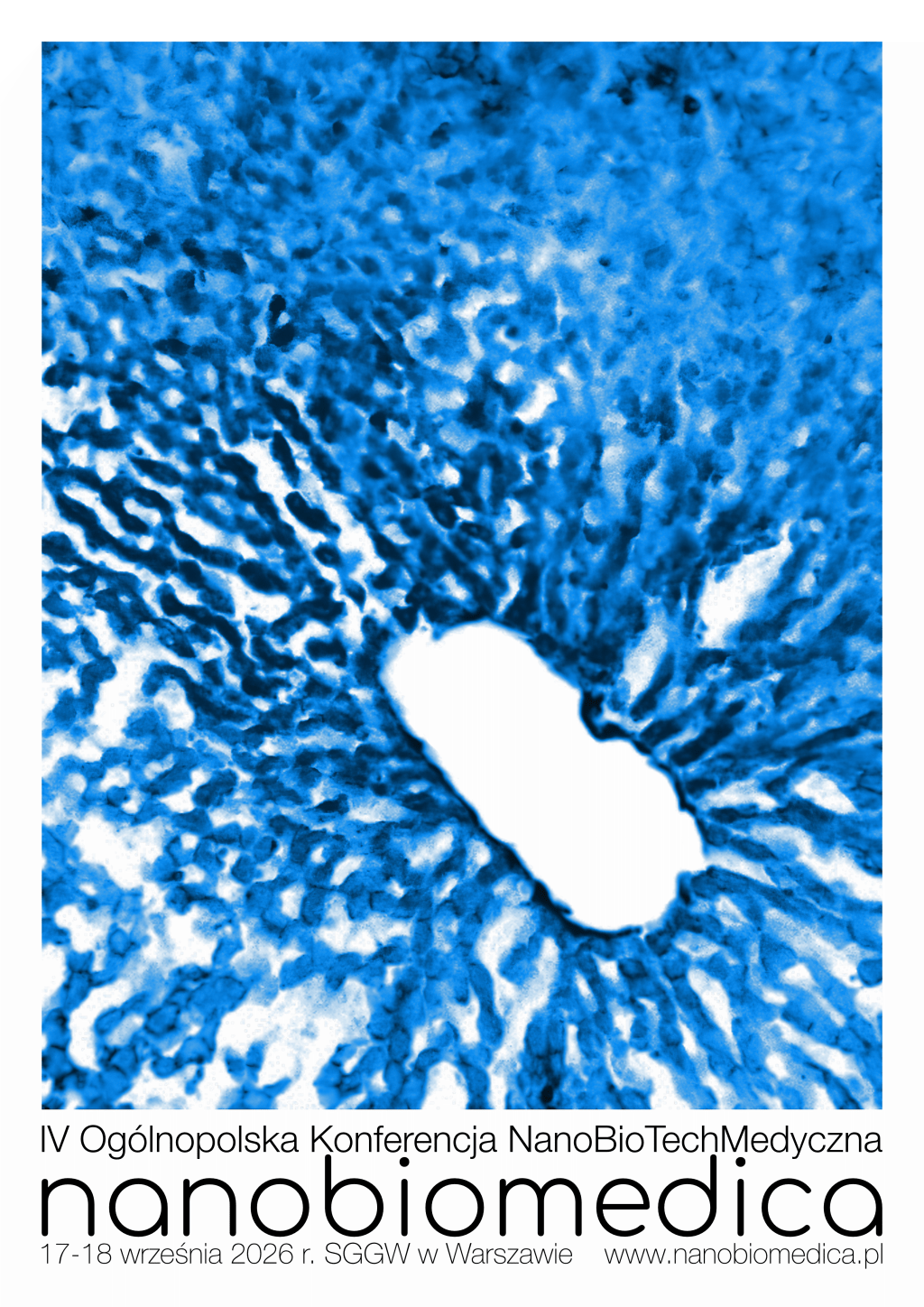 Ogłoszenie IV Edycji